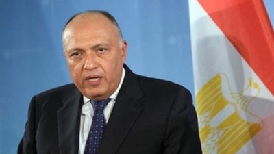 وزير الخارجية يبحث مع نظيريه الأردني والعراقي أزمات المنطقة