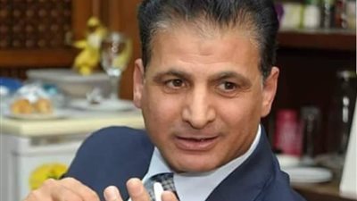 مؤسس اتحاد المصريين بالخارج: البرلمان الأوروبي ينظر بعين واحدة