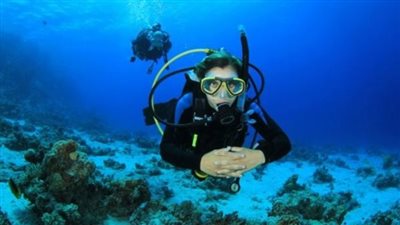 السياحة توقف أنشطة الغوص بـ