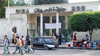 حظر دخول الألعاب النارية لحديقة الحيوانات بالجيزة