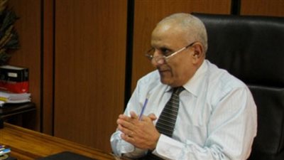 زكي بسيوني: الشركات المصدرة لن تضار من رفع الدولار مقابل الجنيه