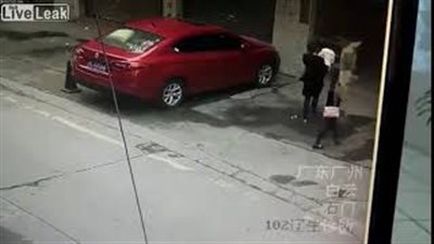 كلب يسقط فوق رأس فتاة ويصيبها بإغماء (فيديو)