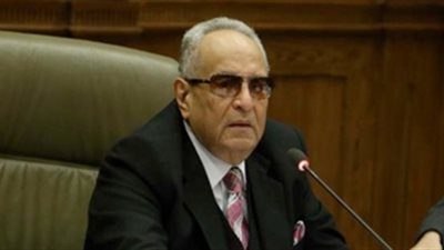 بهاء أبوشقة: أيادٍ خبيثة تتعمد الإساءة إلى صورة مصر الجديدة