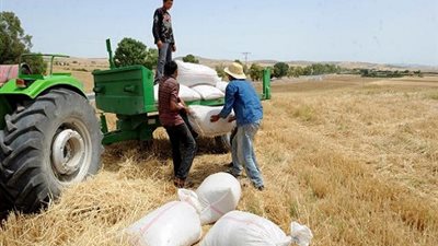 إجراءات الحصول على تمويل للمشروعات الزراعية من بنك الائتمان