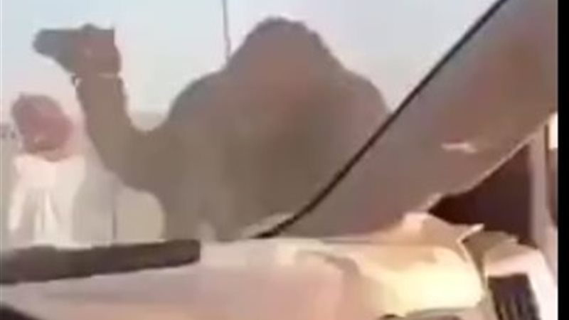فيتو