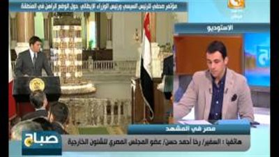 بالفيديو.. رخا حسن: لا مفر من تطبيق المبادرة المصرية