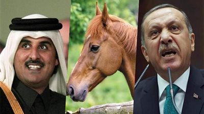 أمير قطر يطلق اسم أردوغان على حصانه الجديد