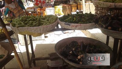 انخفاض أسعار الخضراوات اليوم.. والبطاطس بـ2.5 جنيه
