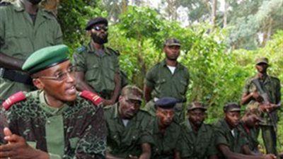 حكومة الكونغو الديمقراطية تعرض عفوًا عن المتمردين فى شرق البلاد