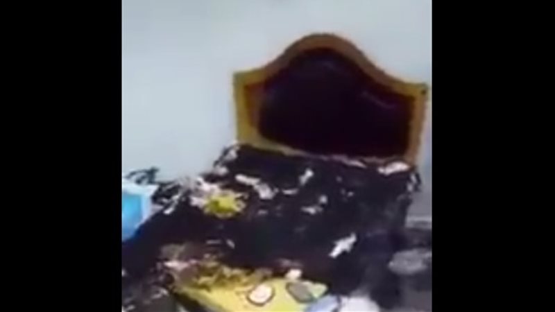 فيتو