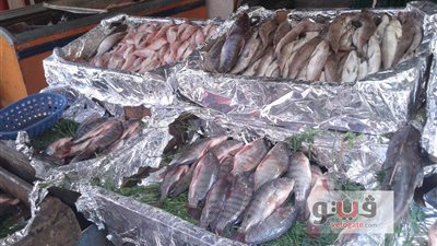 انخفاض طفيف في أسعار الأسماك بالأسواق