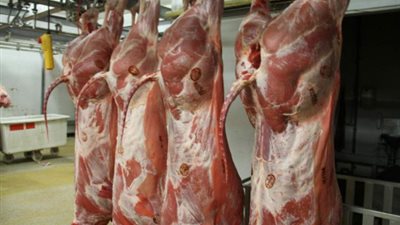 الوادى الجديد تطرح 55 طن لحوم ودواجن استعدادا لرمضان