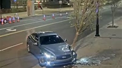 ماذا فعل شاب لحظة اصطدامه بشجرة (فيديو)