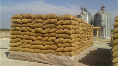«تموين الأقصر»: توريد 1812 طن قمح لبنكر إسنا وصومعة أرمنت