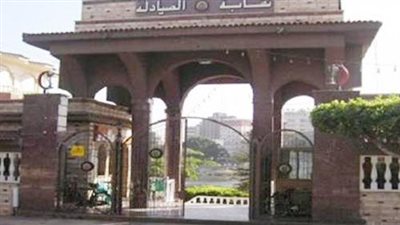 «الصيادلة» تتفق مع «الضرائب» على طرح مصاريف 7.5 % للأدوية