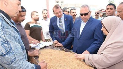 توريد 132 ألفا و608 أطنان قمح لشون وصوامع الشرقية