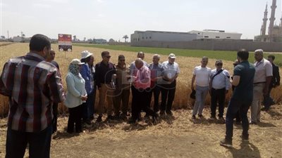 وفد إيراني يزور حقول القمح الاسترشادية بالدقهلية (صور)