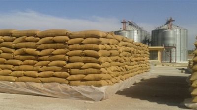 وصول 15 ألف طن قمح للشون والصوامع بسوهاج