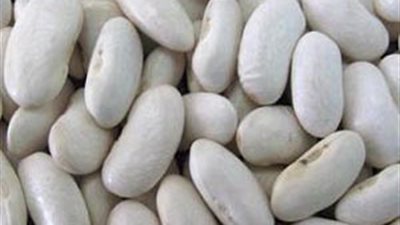 الفاصوليا البيضاء تقلل السكر في البول وتنظف الكلى من الرمل
