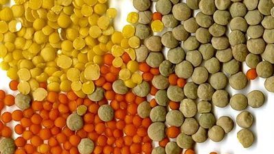 العدس الأصفر يسجل 13 جنيهًا بالسويس