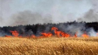 حريق يلتهم 5 أفدنة قمح في سوهاج