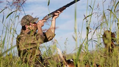 كيف تبلغ عن محاولات الاتجار والصيد الجائر للكائنات البرية؟