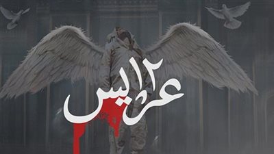 شاعرة بورسعيدية تصدر « 12 عريس»‏ في حب مصر