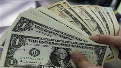 الدولار يستقر عند 18.13 جنيها بعد ٦ أشهر من التعويم «تقرير»