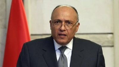 وزير الخارجية يبحث مع نظيره الأمريكي هاتفيا التطورات في سوريا