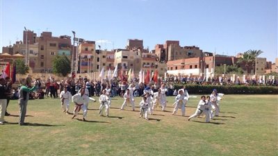 بالفيديو والصور.. عروض فنية ورياضية في احتفال الفيوم بعيدها القومي