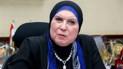 نيفين جامع: ننفذ إستراتيجية طموحة لدعم وتنمية المشروعات الصغيرة