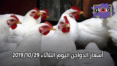 بورصة الدواجن العمومية | أسعار الدواجن اليوم الثلاثاء 2019/10/29