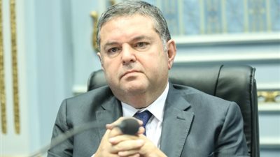 وزير قطاع الأعمال العام: تدشين خطوط ملاحية بين مصر وكينيا لاختراق السوق الأفريقية