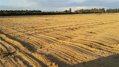 توزيع 450 فدانا على شباب الخريجين في الوادي الجديد