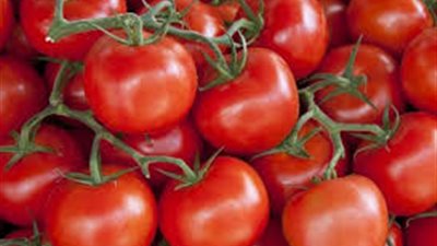 الطماطم تسجل 4.5 جنيها في أسواق الخضراوات اليوم (فيديو)
