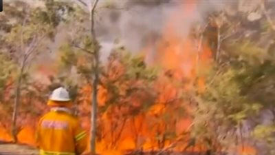 بالفيديو.. أستراليا تواجه أسوأ موجة من حرائق الغابات