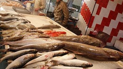 تراجع أسعار الأسماك 3 جنيهات بعد أيام من فرض رسوم على الصادرات