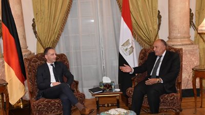 سامح شكري لوزير الخارجية الألماني: المصريون يثقون في القيادة السياسية
