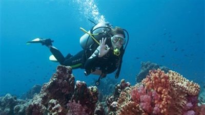 السياحة تعيد ممارسة أنشطة الغوص بمنطقة رأس أم السيد