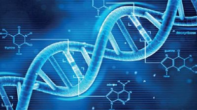 دراسة حديثة تكشف عن أنواع الخلل في المادة الوراثية بجسم الإنسان
