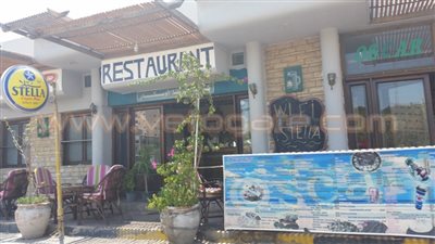 بالصور.. محال الخمور تستأنف عملها في الغردقة