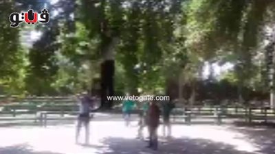 بالفيديو.. شاب يتحدى طرزان ويتسلق أشجار حديقة الأسماك