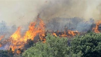 السيطرة على حريق اندلع في 3 أفدنة قمح بالمنيا