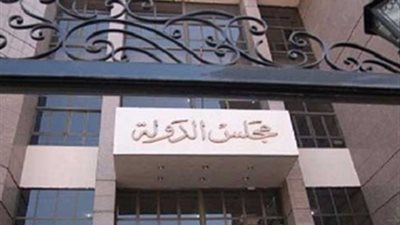 حجز دعاوى وقف إجراءات الاستفتاء على الدستور للحكم 28 مايو