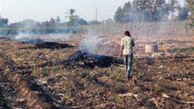 البيئة: تحرير 14 محضر حرق لمخلفات زراعية بالشرقية