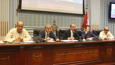 رئيس زراعة البرلمان يطالب بزيادة سعر توريد القمح الموسم الحالي