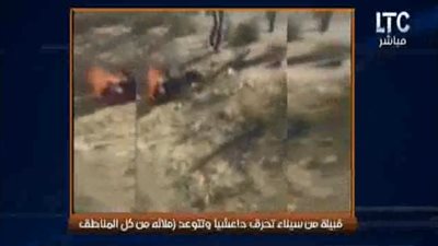 الغيطي يعرض فيديو لقبيلة «الترابين» أثناء حرق داعشي في سيناء