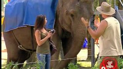 بالفيديو.. خرطوم فيل يفزع رواد حديقة حيوانات