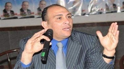 خبير اقتصادى يستبعد إنشاء مجرى منافس لقناة السويس