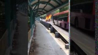 بالفيديو.. رجل إطفاء ينجو بأعجوبة بعد انفجار تاكسي على الطريق